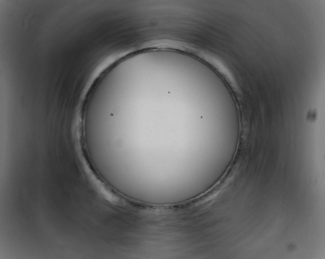 X0000101391040200807071000