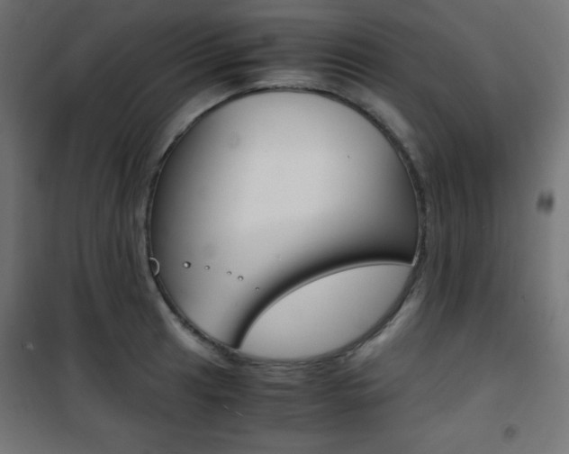 X0000101391041200807071000