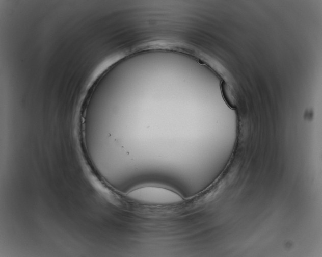X0000101391042200807071000
