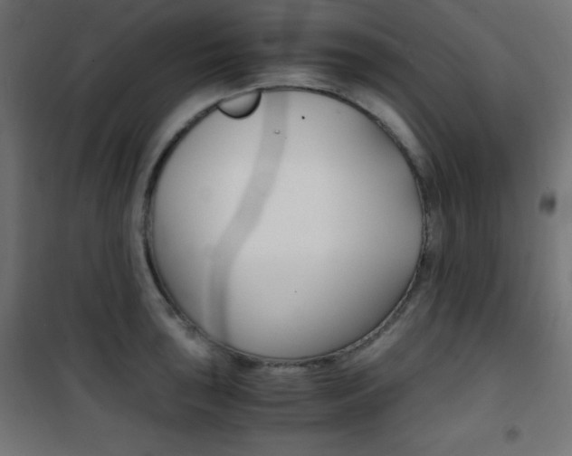 X0000101391043200807071000