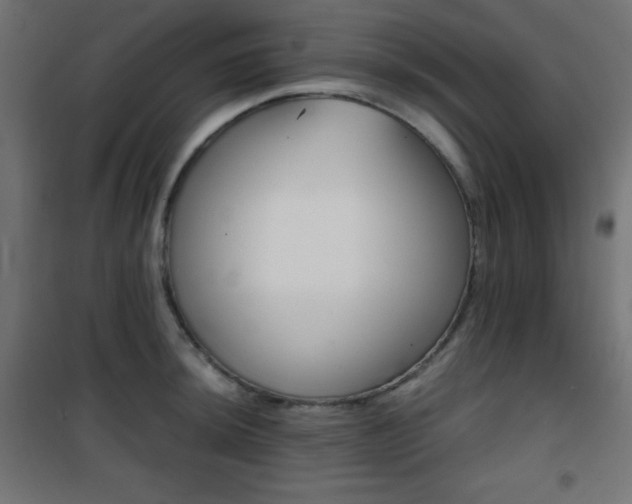 X0000101391044200807071000