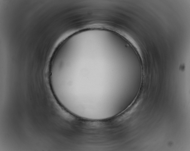 X0000101391045200807071000