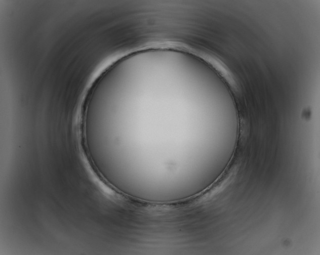 X0000101391046200807071000