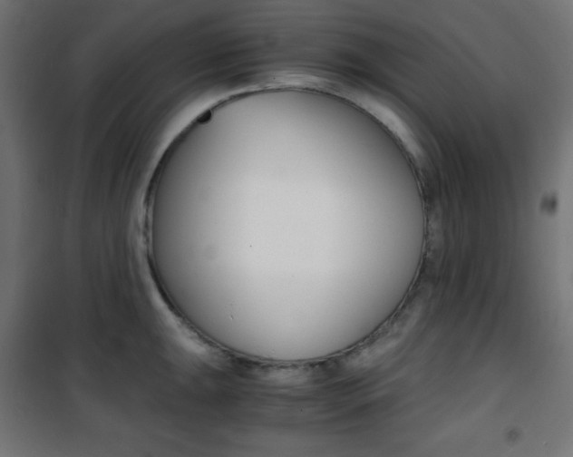 X0000101391047200807071000