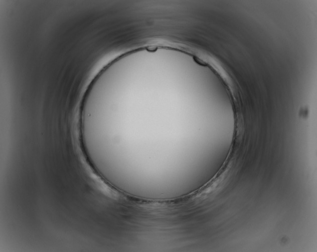 X0000101391048200807071000