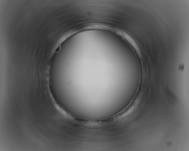 X0000101391049200807071000