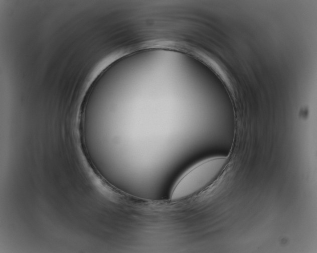 X0000101391050200807071000
