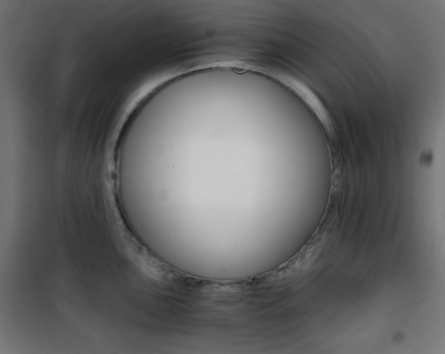 X0000101391051200807071000