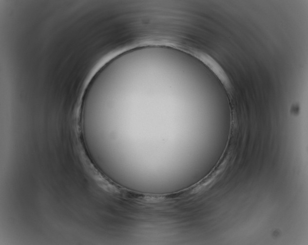X0000101391052200807071000