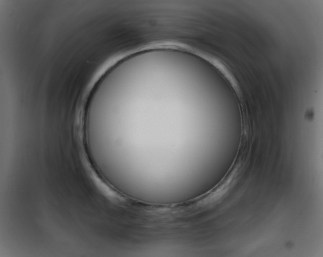 X0000101391054200807071000