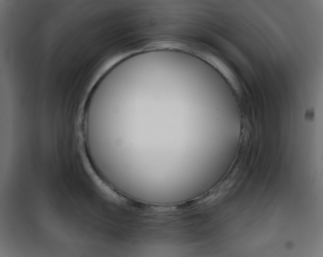 X0000101391055200807071000