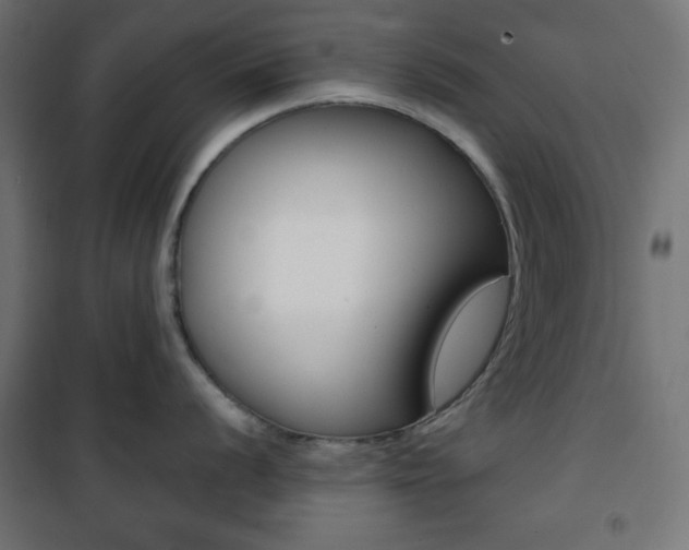 X0000101391056200807071000