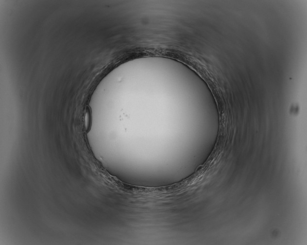 X0000101391057200807070959