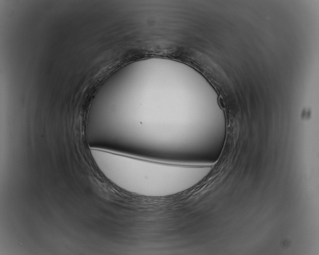 X0000101391058200807070959