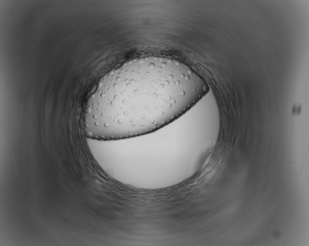 X0000101391059200807070959
