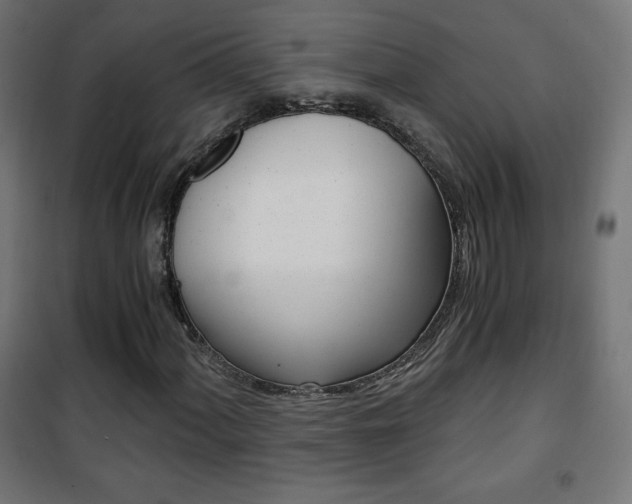 X0000101391060200807070959