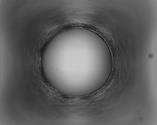 X0000101391061200807070959