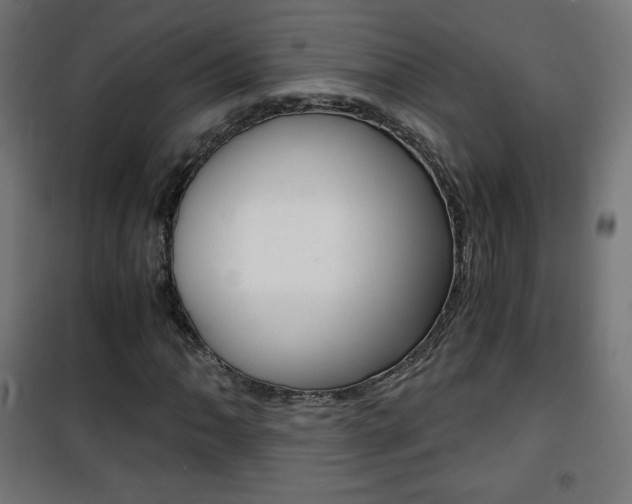 X0000101391062200807070959