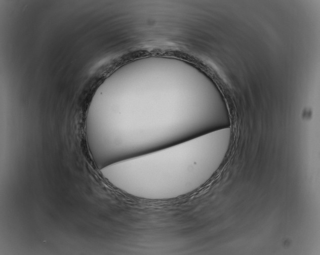 X0000101391063200807070959
