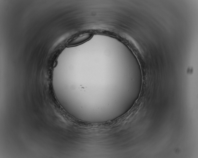 X0000101391064200807070959
