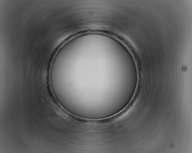 X0000101391065200807070959