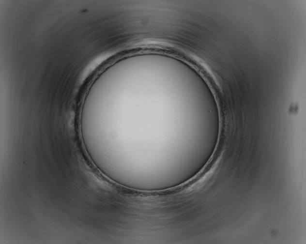 X0000101391066200807070959