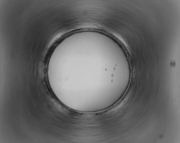 X0000101391067200807070959