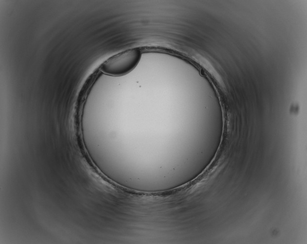 X0000101391068200807070959