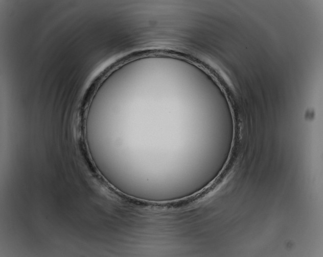 X0000101391069200807070959
