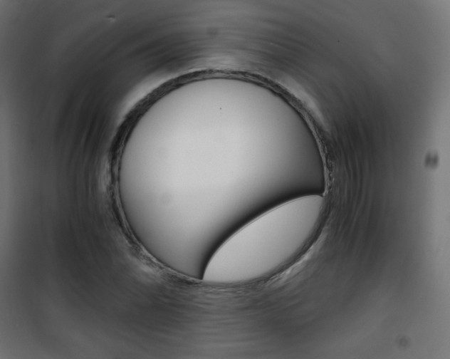 X0000101391070200807070959