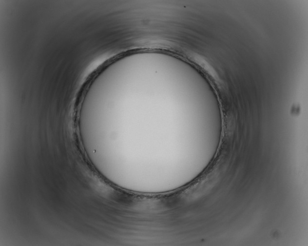 X0000101391071200807070959