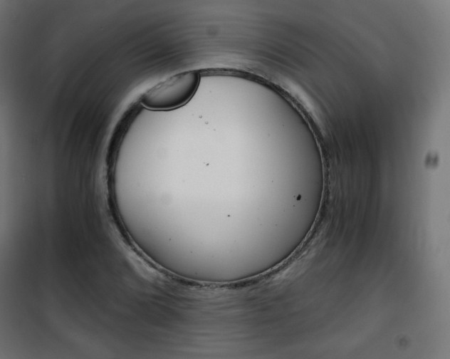 X0000101391072200807070959