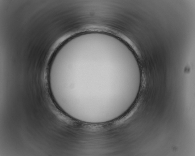 X0000101391074200807070959