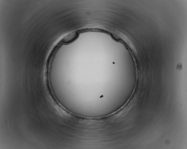 X0000101391076200807070959