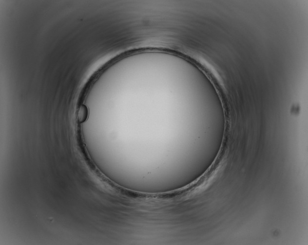 X0000101391077200807070959