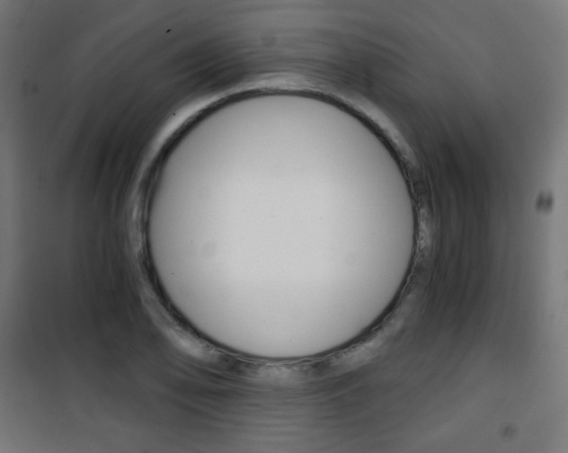 X0000101391078200807070959