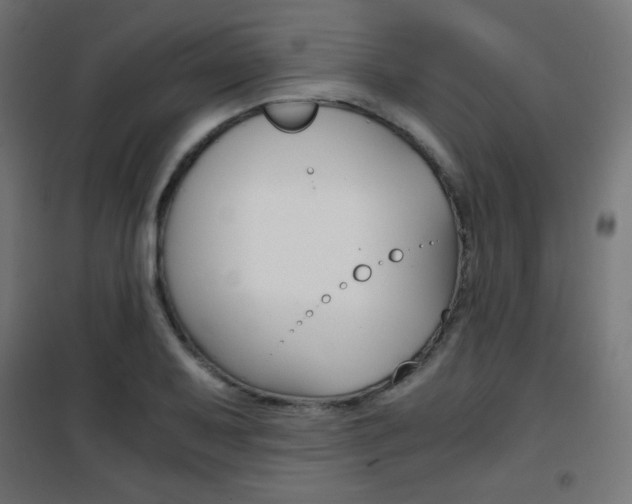 X0000101391079200807070959