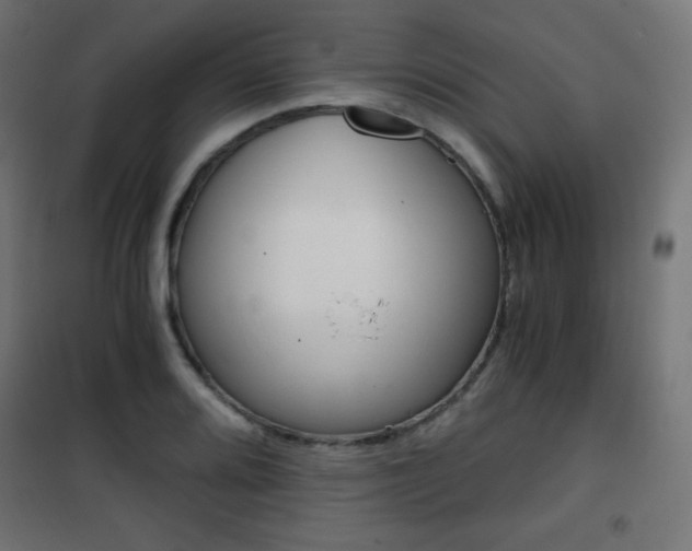 X0000101391080200807070959