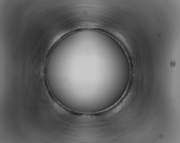 X0000101391081200807070959