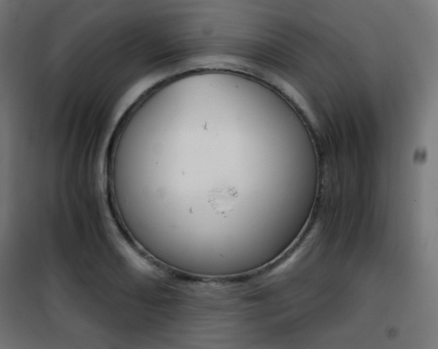 X0000101391082200807070959