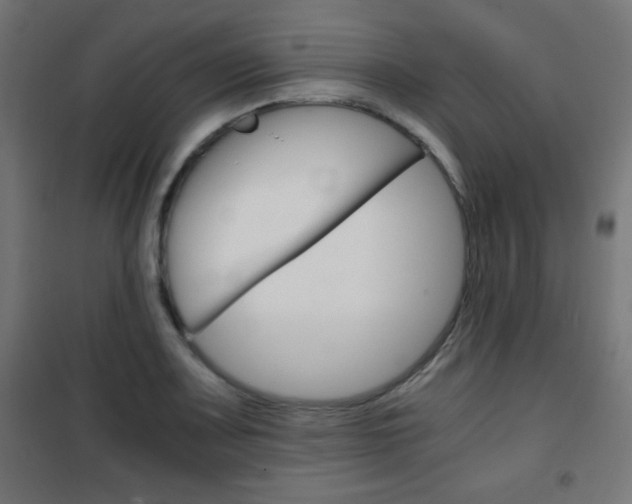 X0000101391083200807070959