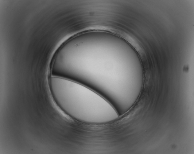 X0000101391084200807070959