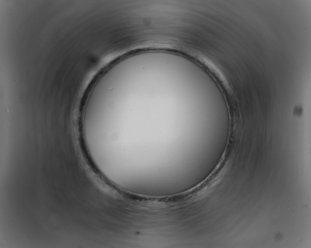 X0000101391085200807070959