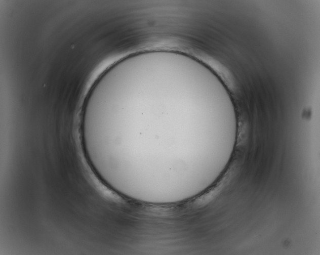 X0000101391086200807070959
