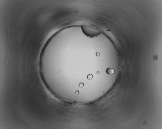 X0000101391087200807070959