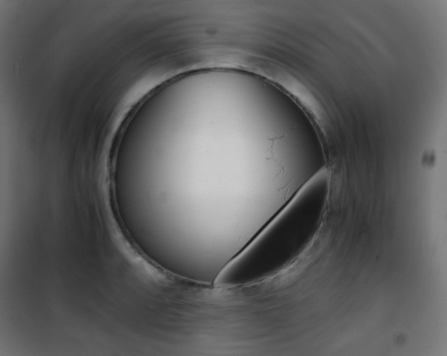 X0000101391088200807070959