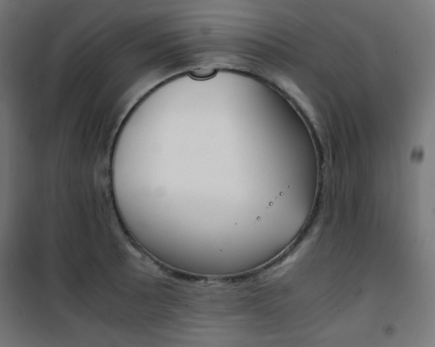 X0000101391089200807070959