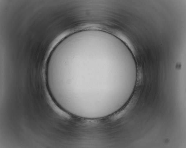 X0000101391090200807070959