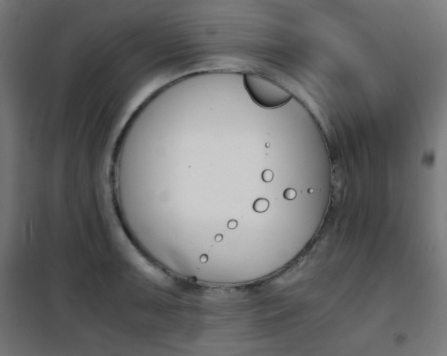 X0000101391091200807070959