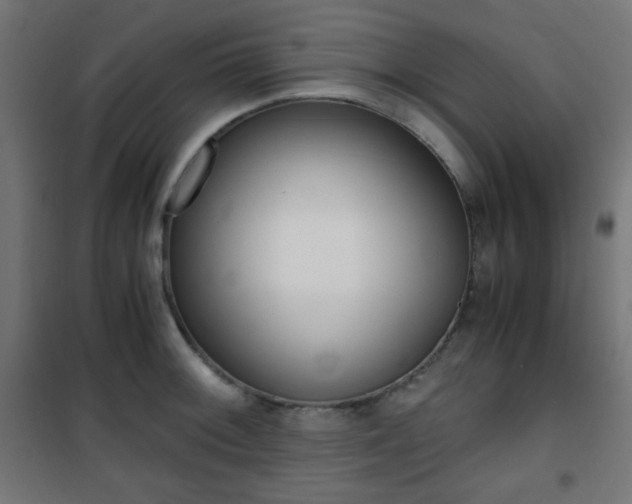 X0000101391092200807070959